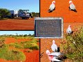 25Ningaloo1