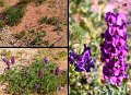 25Ningaloo5