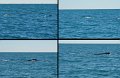 27Exmouth4