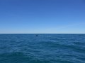DSCN1343