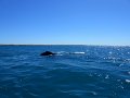 DSCN1357