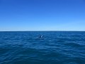 DSCN1358