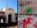 12Mullewa5