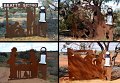 13Mullewa6