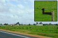 24ToBunbury3