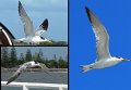 01Busselton4