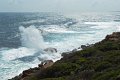 DSC_0055a