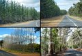 06Manjimup12