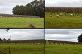 07Manjimup17