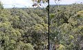 08Manjimup