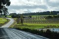 DSC_0035a