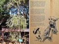 16Kalgoorlie6