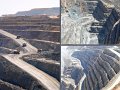 Joy