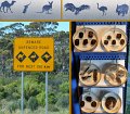 20Nullarbor9
