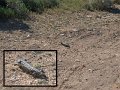 22Nullarbor1