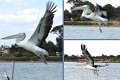 23Ceduna5