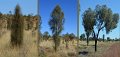 04KingsCanyon
