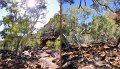 04KingsCanyon2