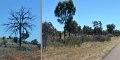 04KingsCanyon3