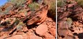04KingsCanyon5