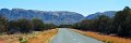 DSC_0235