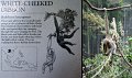 26Zoo16