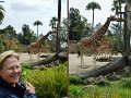 26Zoo31