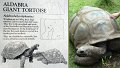 26Zoo42