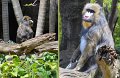 26Zoo8