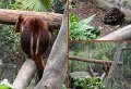 26Zoo9