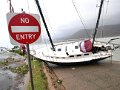 117Debbie16_Shute_HarbourD
