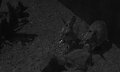 20170406_152835