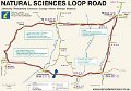 Natural-Sciences-Loop-Map