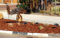 20170411_102540