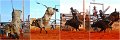 Rodeo2