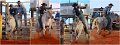 Rodeo13