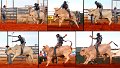 Rodeo14