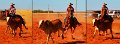 Rodeo22