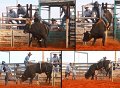 Rodeo3