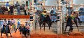 Rodeo32