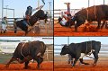 Rodeo5
