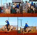 Rodeo8
