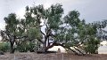 20170417_180150