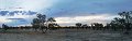 S717Pan06