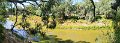 S729Pan04