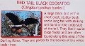 20170429_112708
