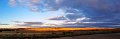 S703Pan29