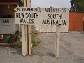 SA-NSW