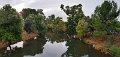 S705Pan06