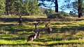 20170509_154121